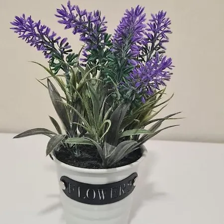 Gold Luxury Guest house 4*